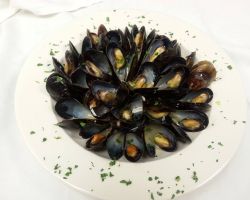 mussels