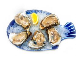 oysters-on-ice